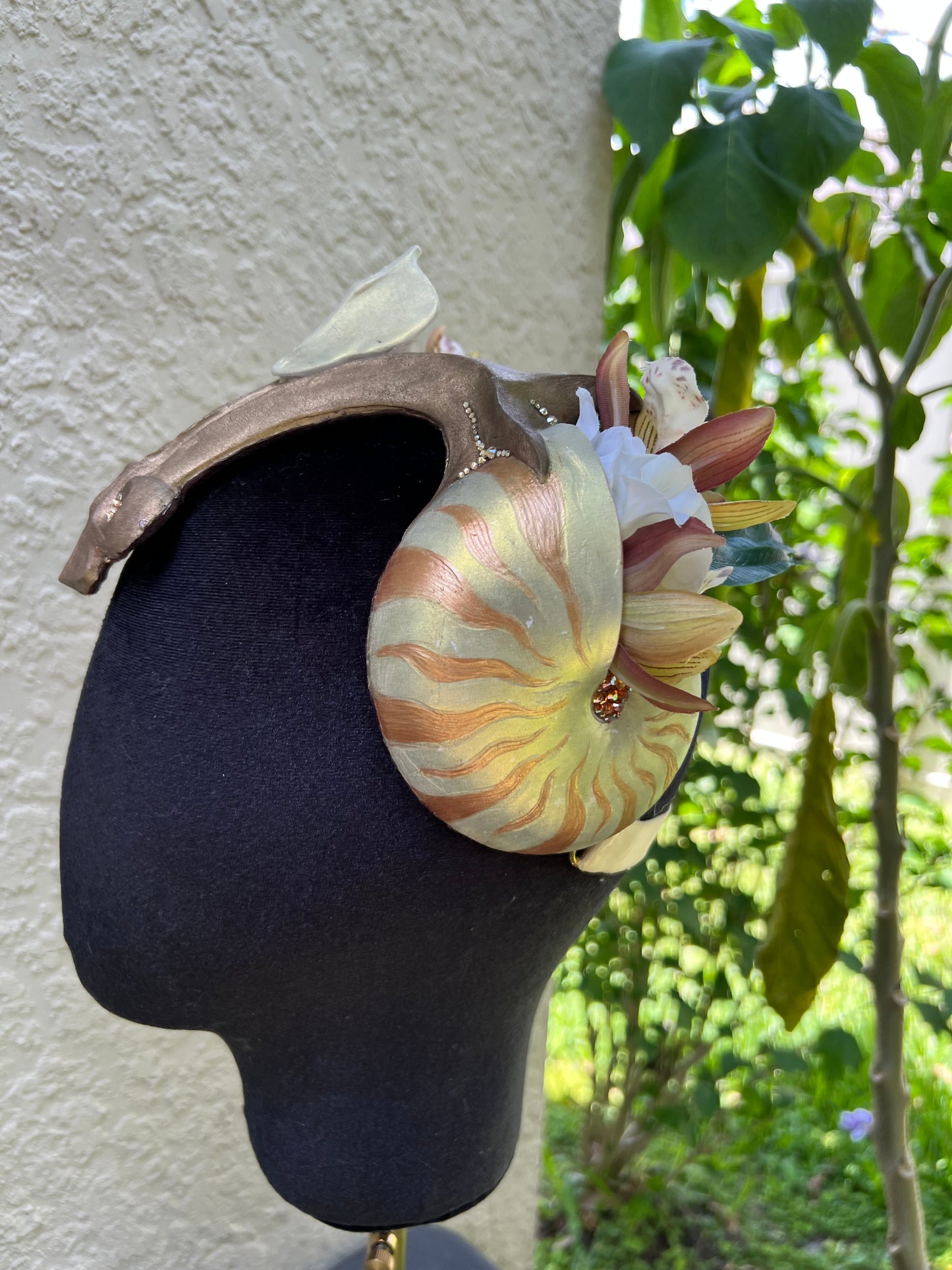 Gold Nautilus crown