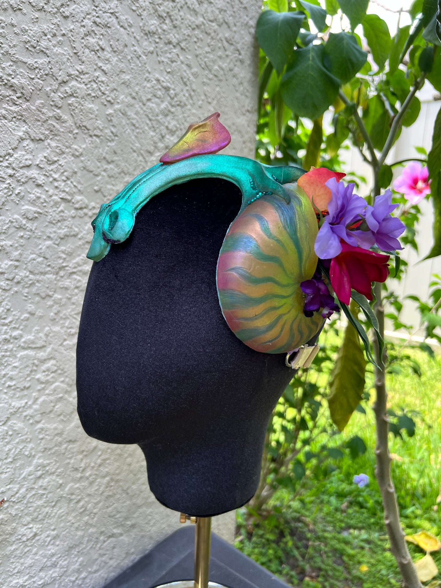 Tropical Nautilus crown
