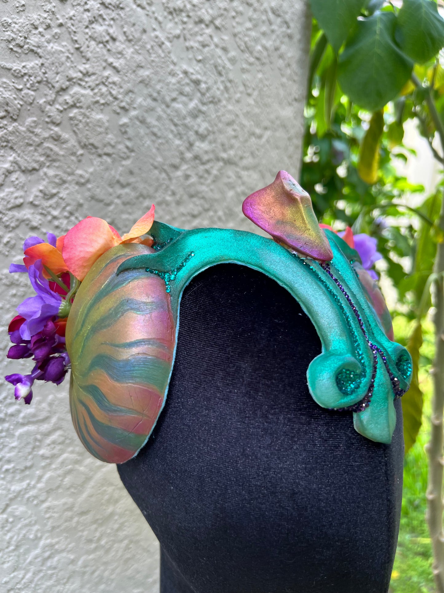Tropical Nautilus crown