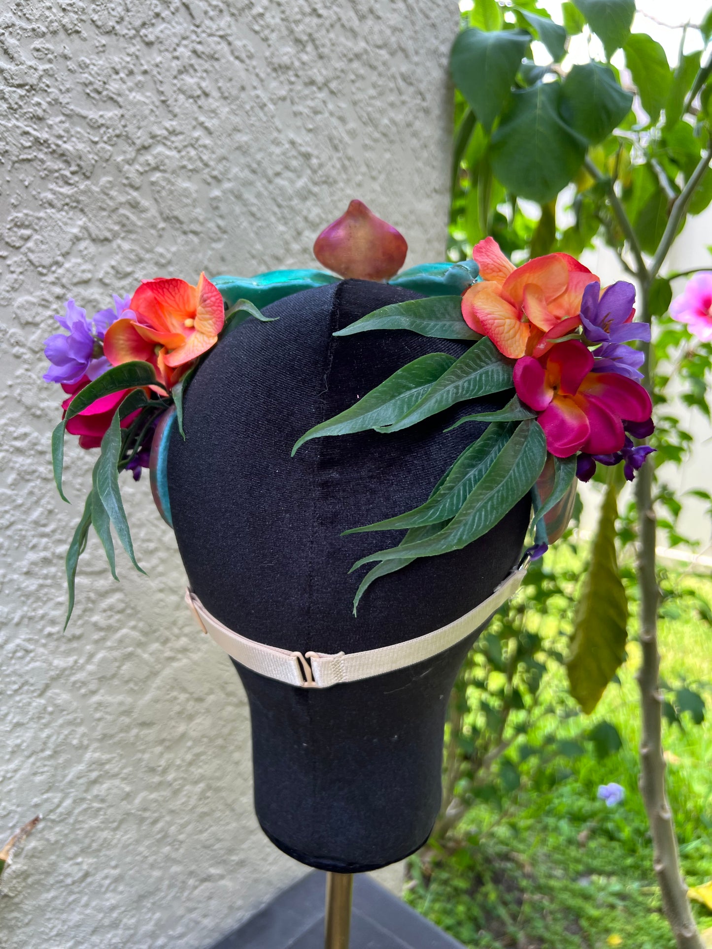 Tropical Nautilus crown