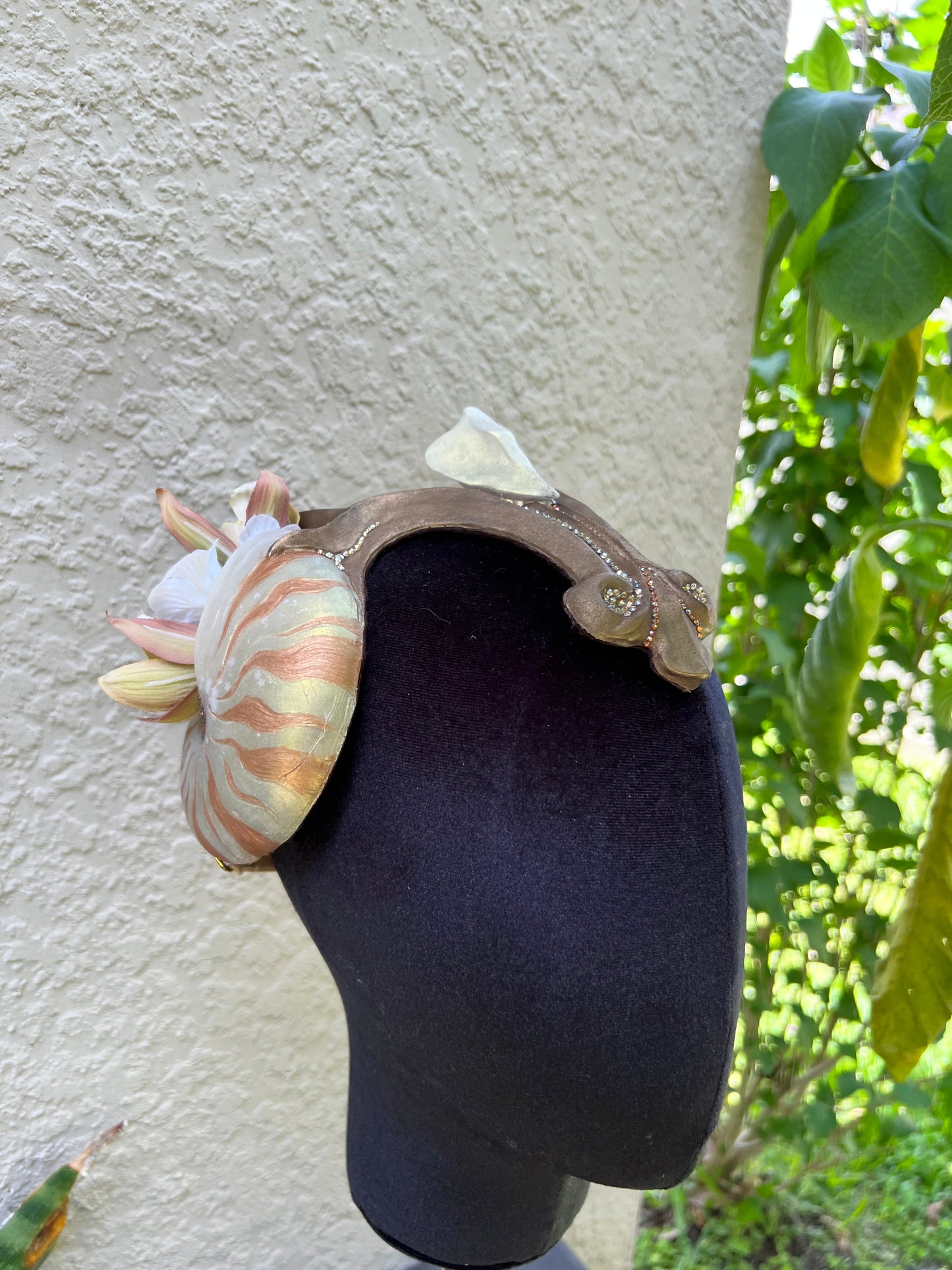Gold Nautilus crown