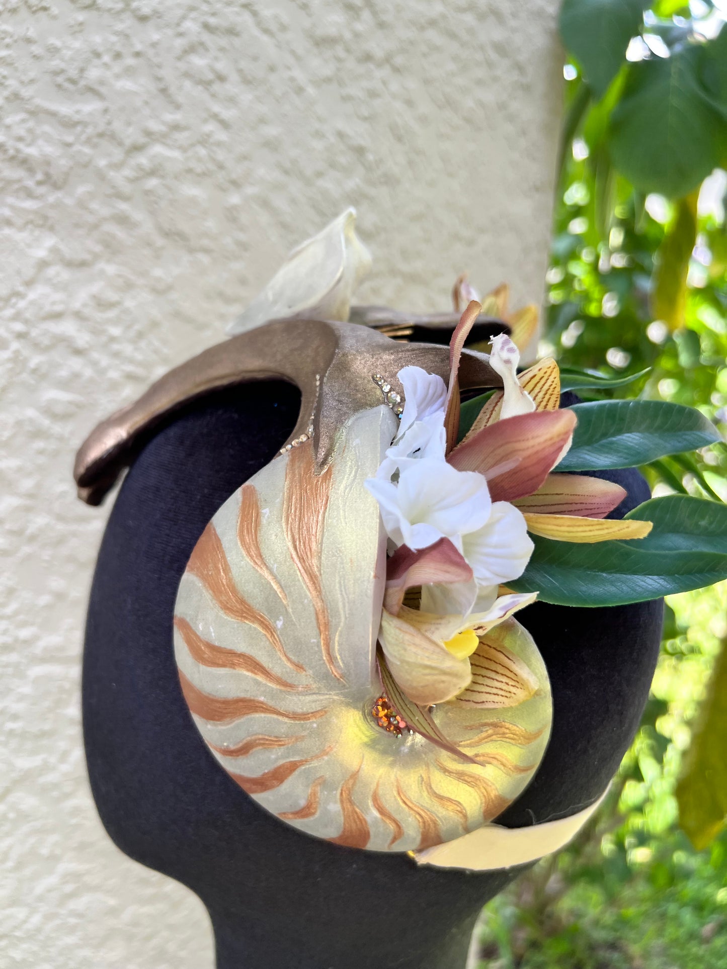 Gold Nautilus crown