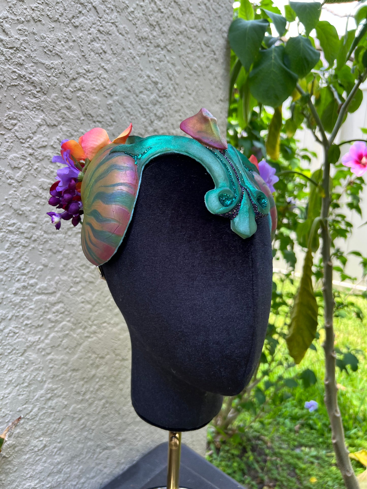 Tropical Nautilus crown