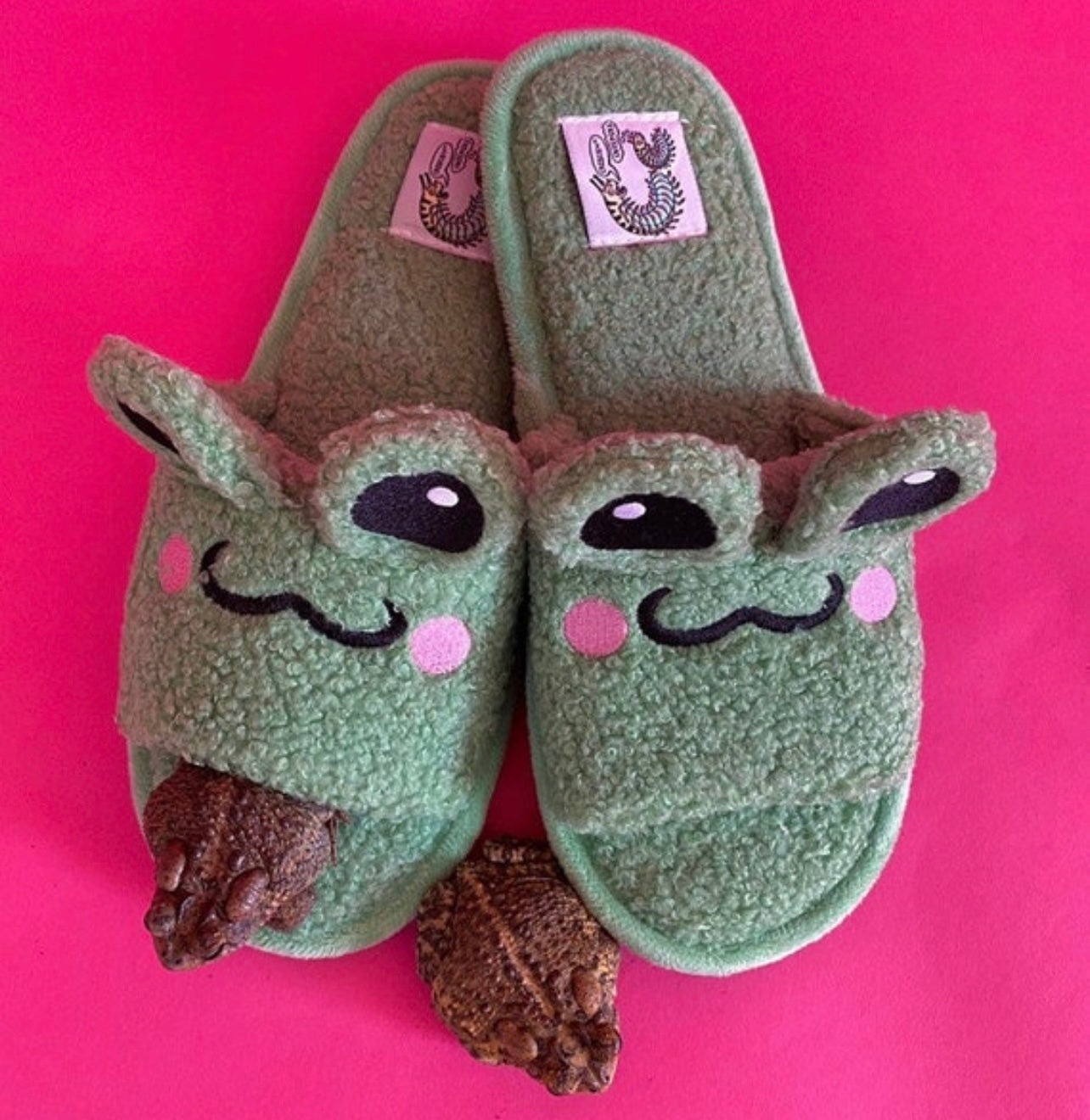 Frog Slippers