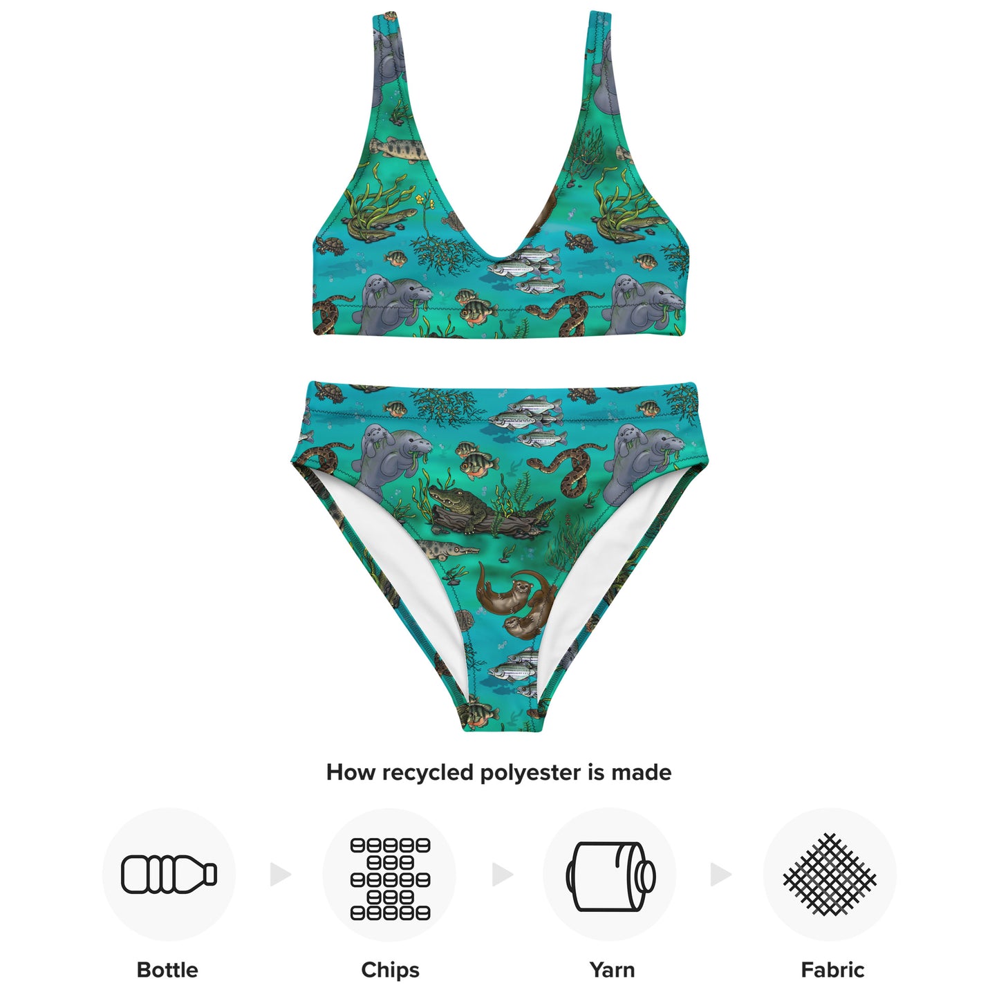 Springs Life high-waisted bikini