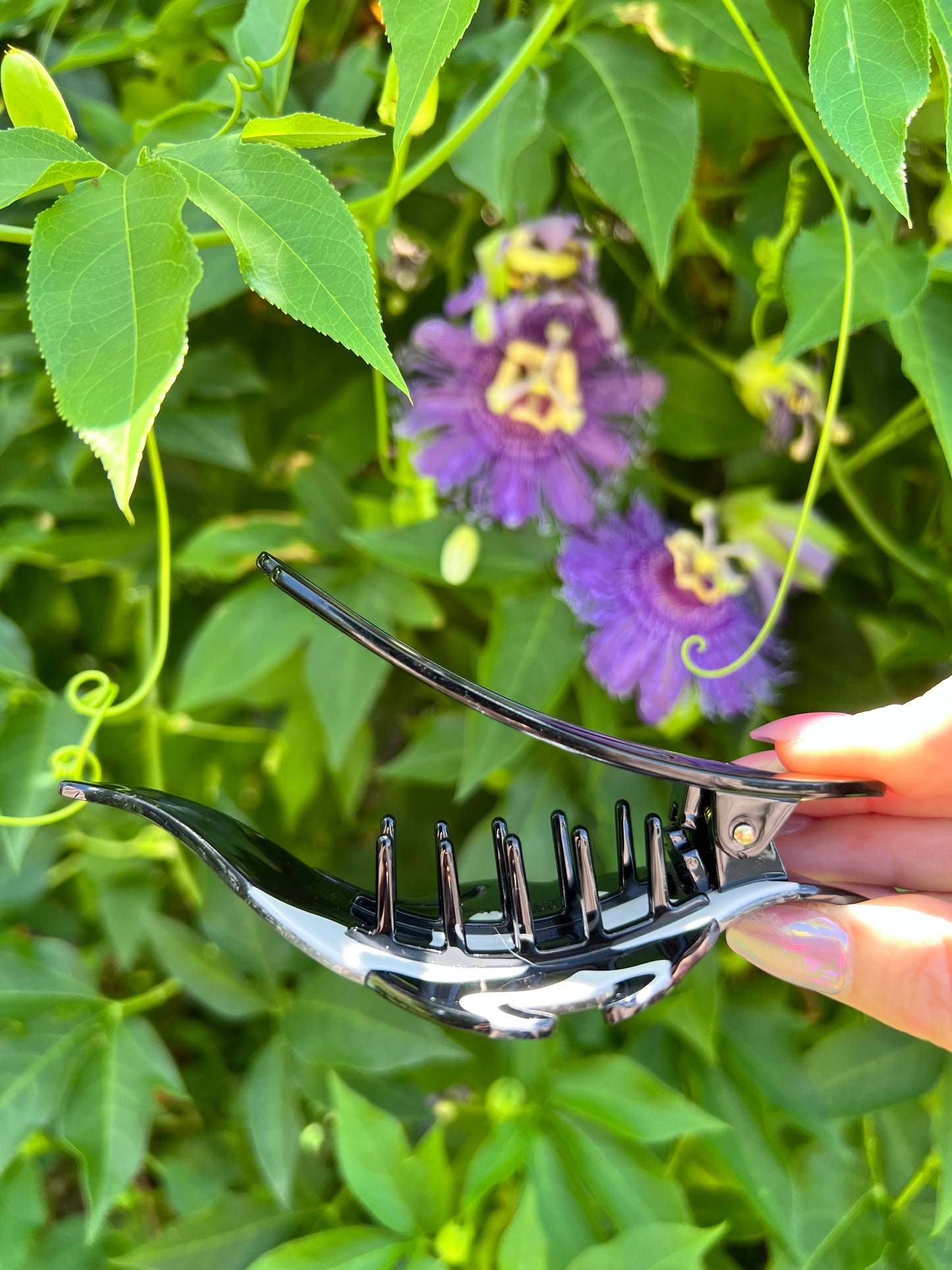 Manta ray hair claw