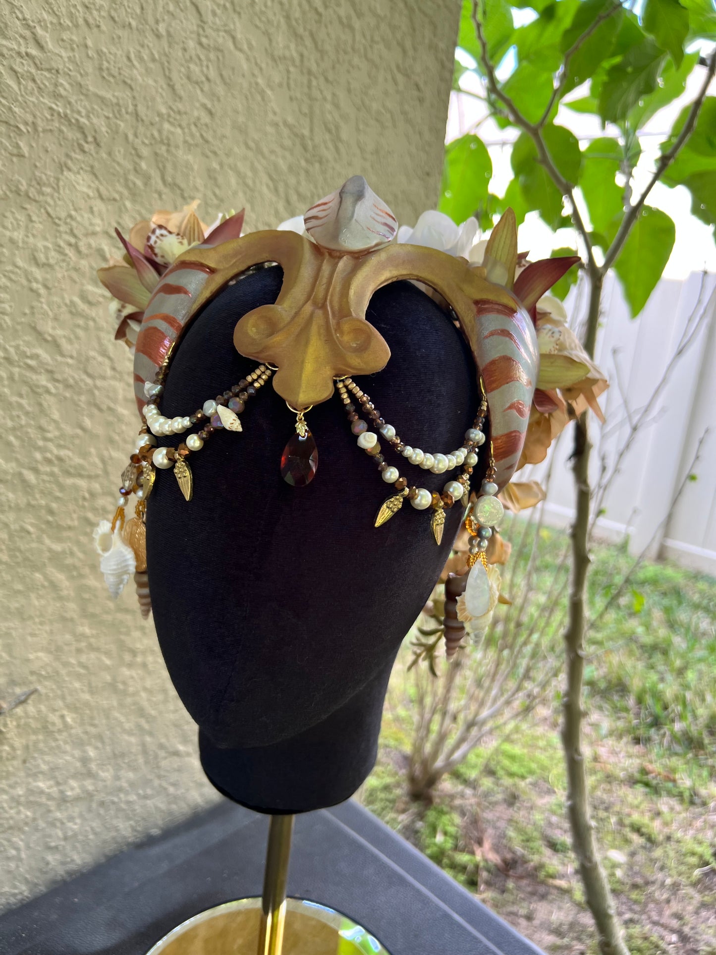 Gold/ brown Nautilis crown