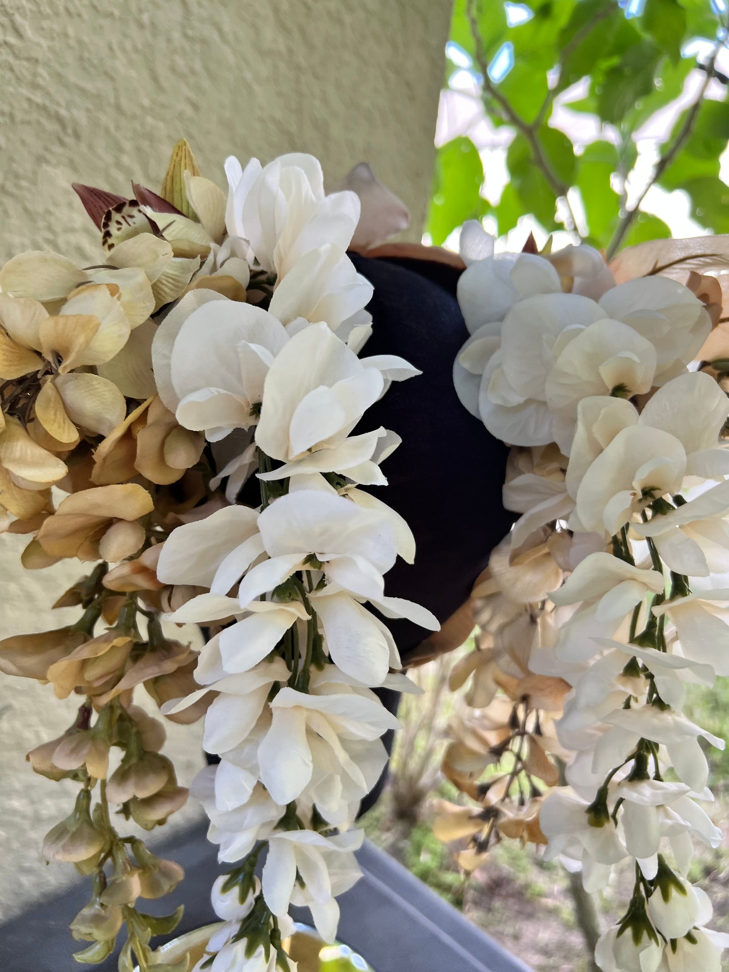 Gold/ brown Nautilis crown