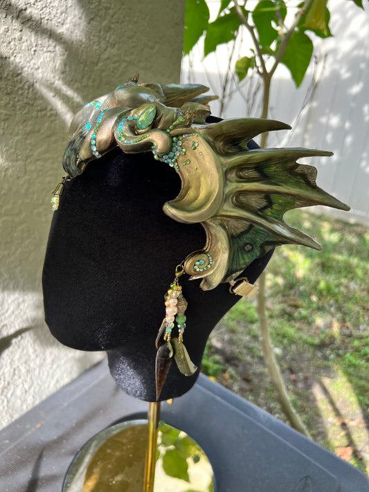 Regal Abalone Calypso Crown