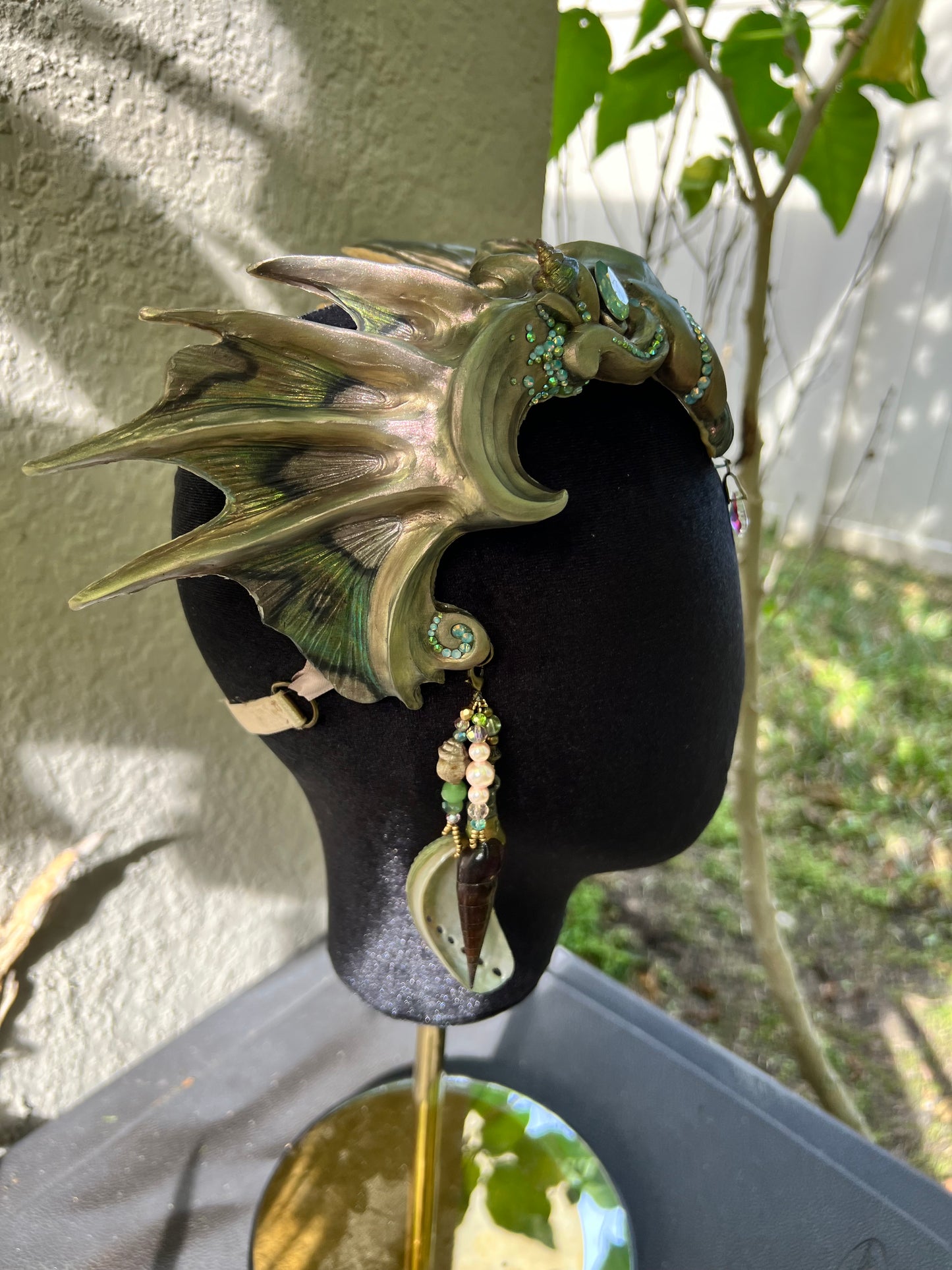 Regal Abalone Calypso Crown