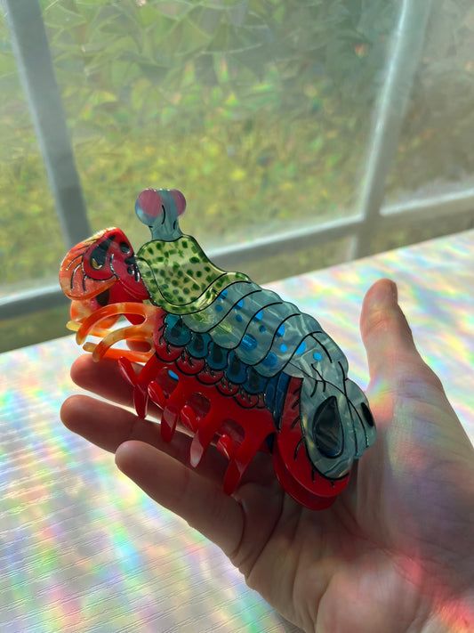 Pre order mantis shrimp hair claw