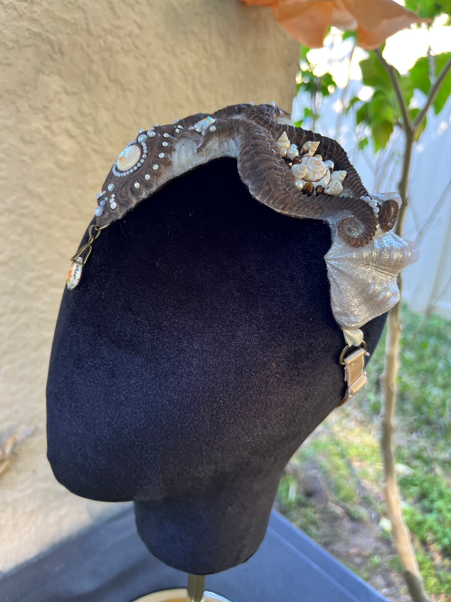 Brown/ white seahorse crown