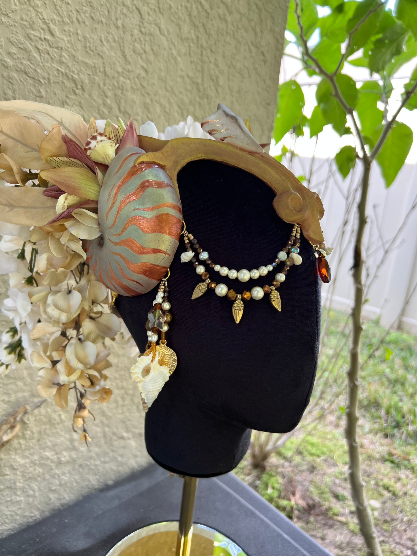 Gold/ brown Nautilis crown