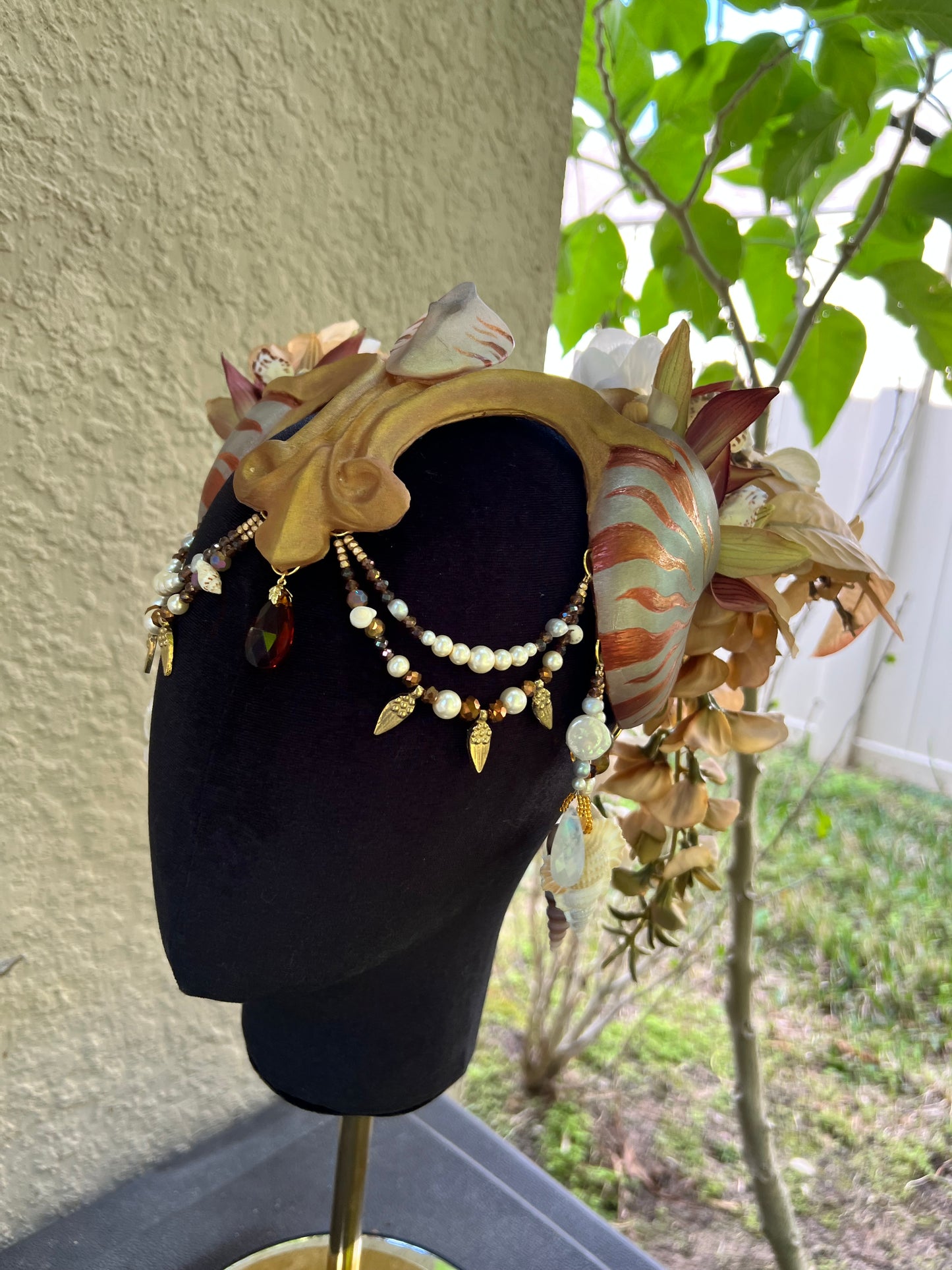 Gold/ brown Nautilis crown