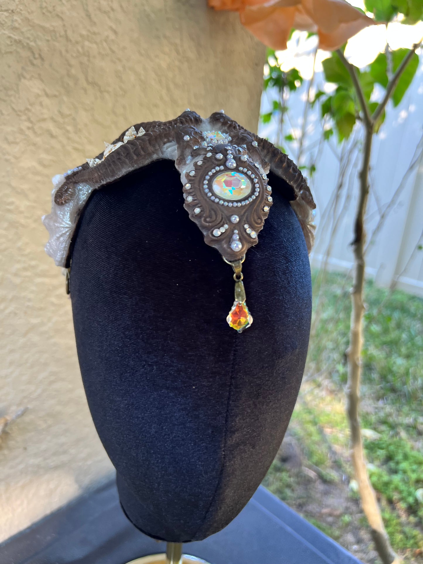 Brown/ white seahorse crown