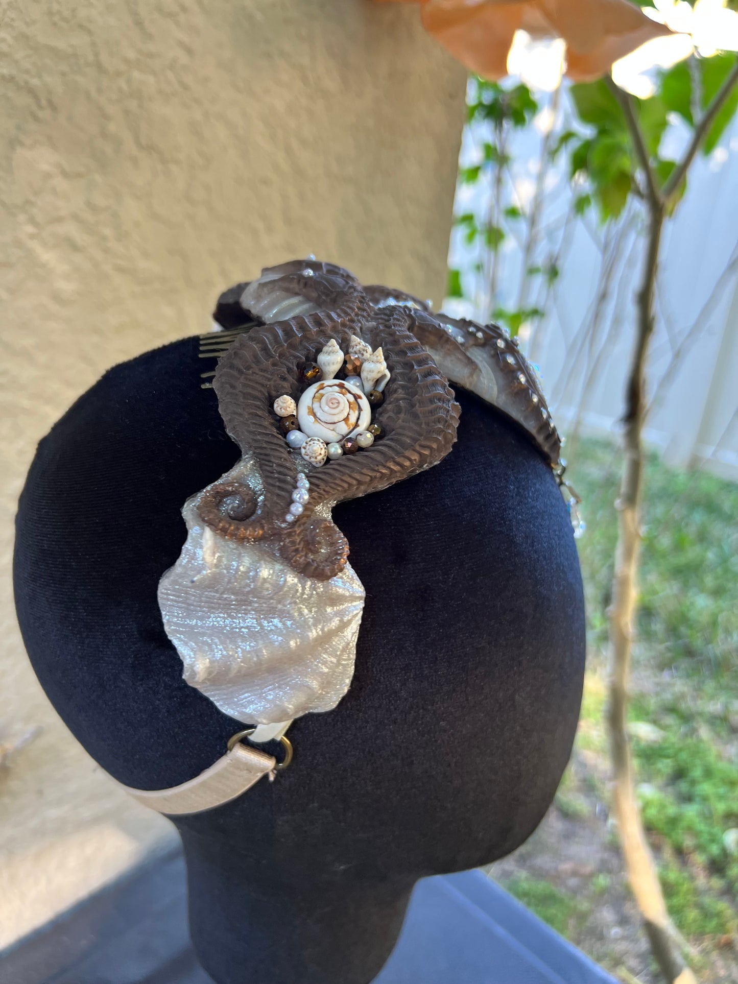 Brown/ white seahorse crown