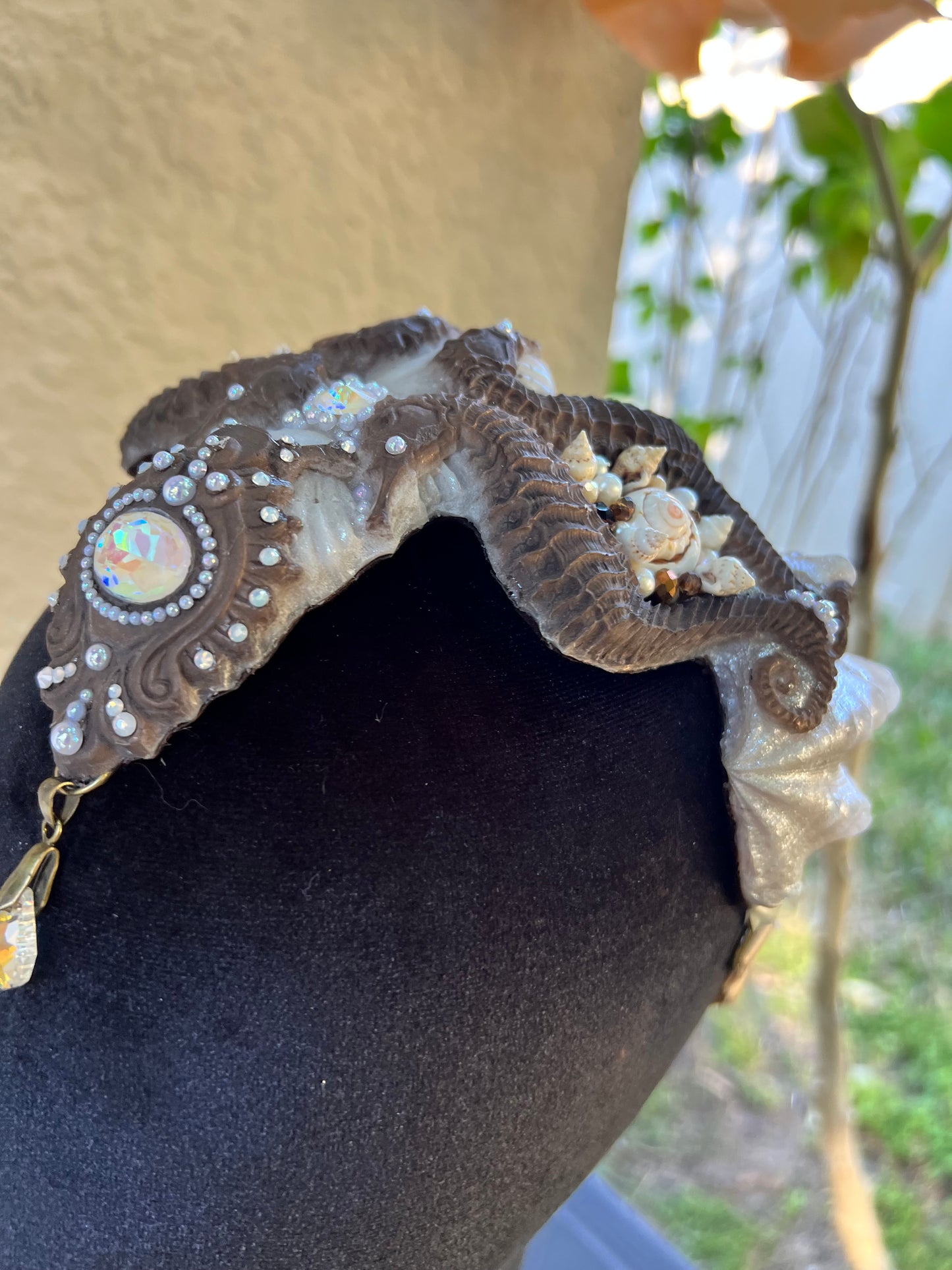 Brown/ white seahorse crown