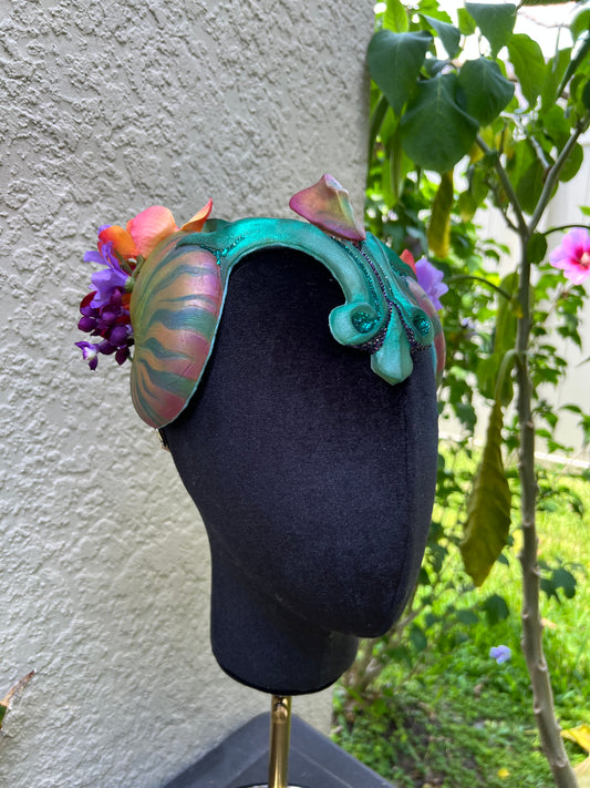 Tropical Nautilus crown